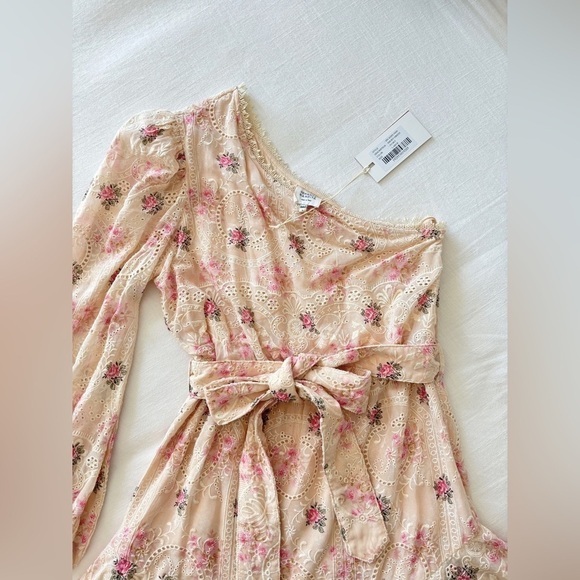 NWT Hemant & Nandita One Shoulder Ivory & Pink Embroidered Mini Dress, L… - Picture 7 of 9